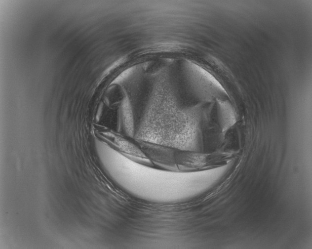 X0000080201210200701051740