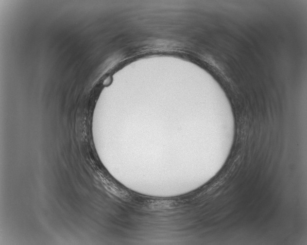 X0000080201211200701051740