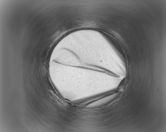 X0000080201212200701051740