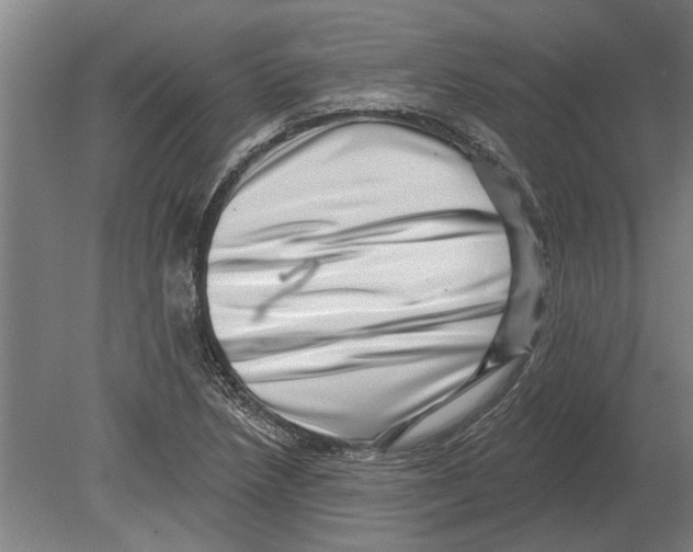 X0000080201218200701051740