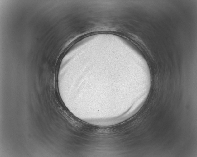 X0000080201220200701051740