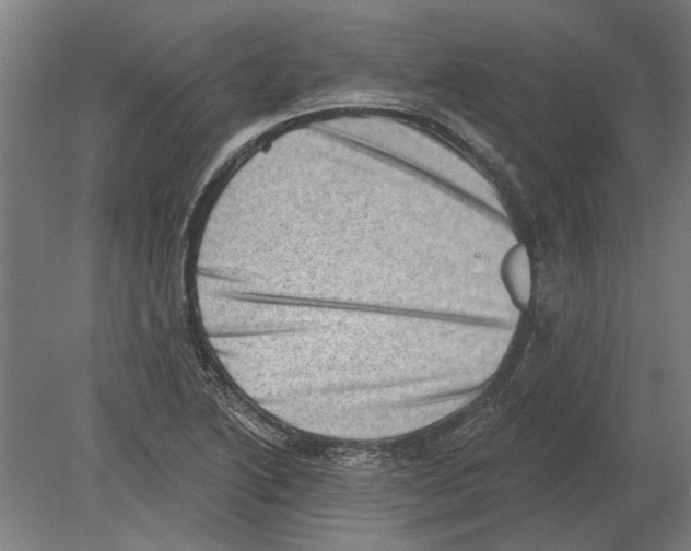 X0000080201222200701051740