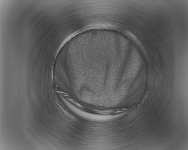 X0000080201226200701051740