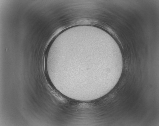 X0000080201227200701051740