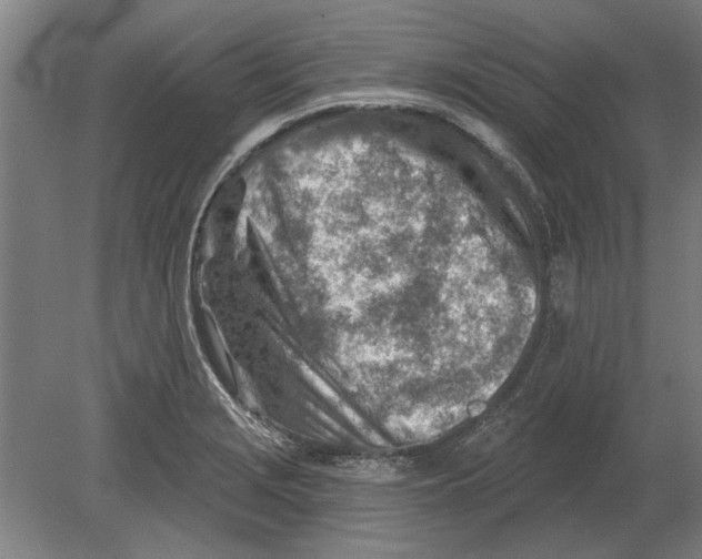 X0000080201229200701051740