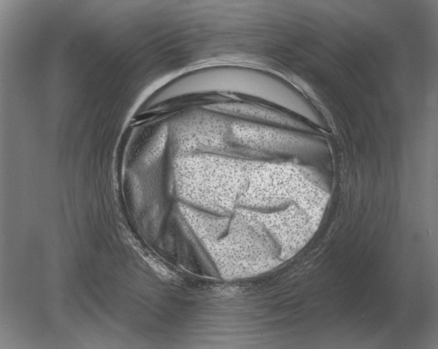 X0000080201230200701051740