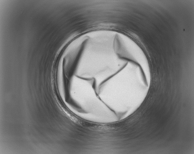 X0000080201235200701051740