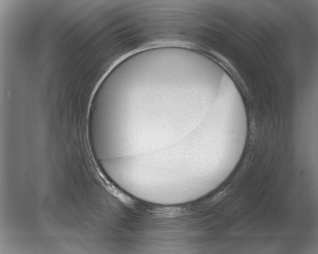 X0000080201236200701051740