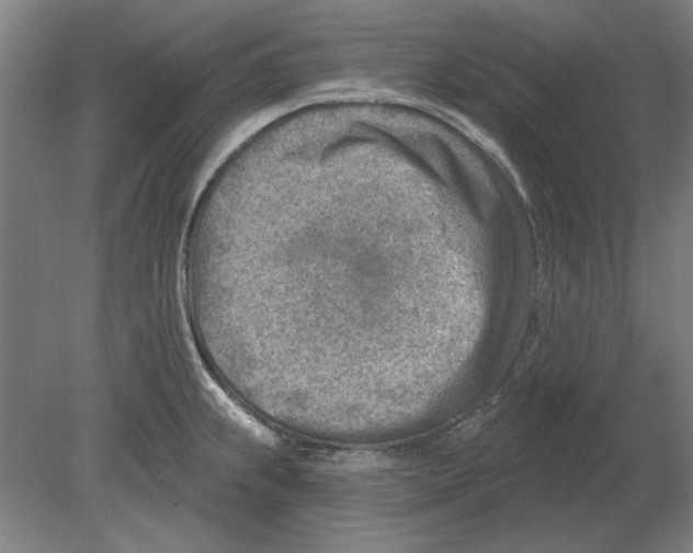 X0000080201239200701051740