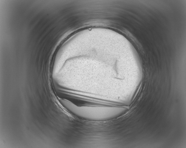 X0000080201240200701051740