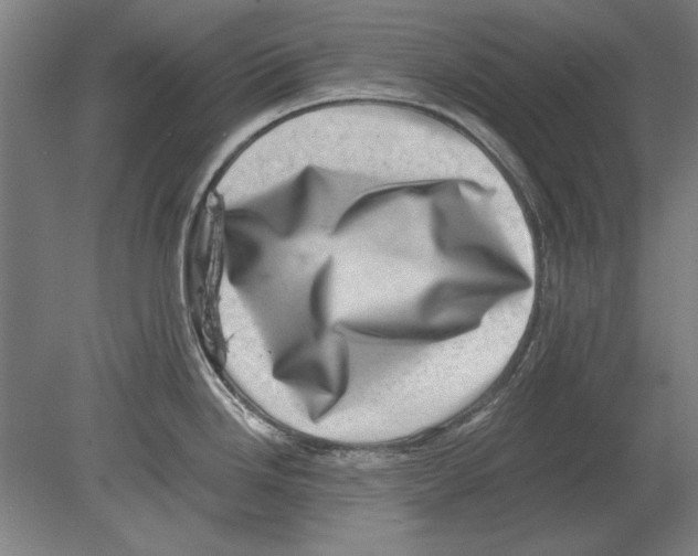 X0000080201246200701051740