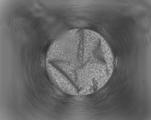 X0000080201251200701051740