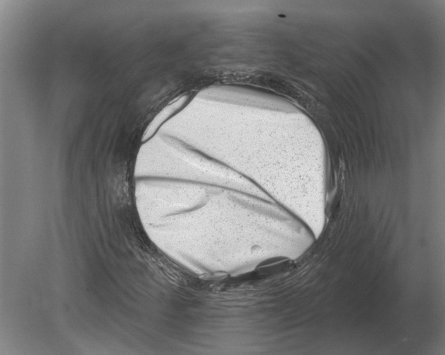 X0000080201252200701051740