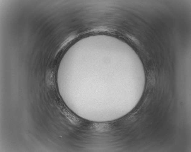 X0000080201258200701051740