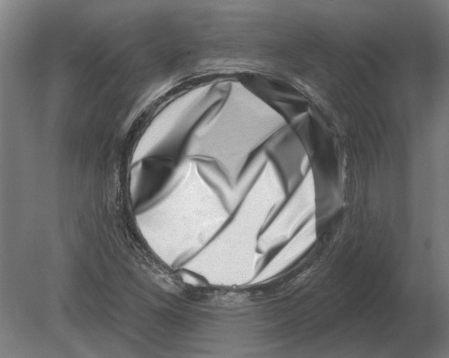 X0000080201261200701051739