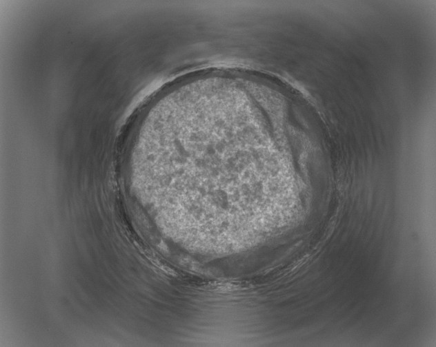 X0000080201263200701051739