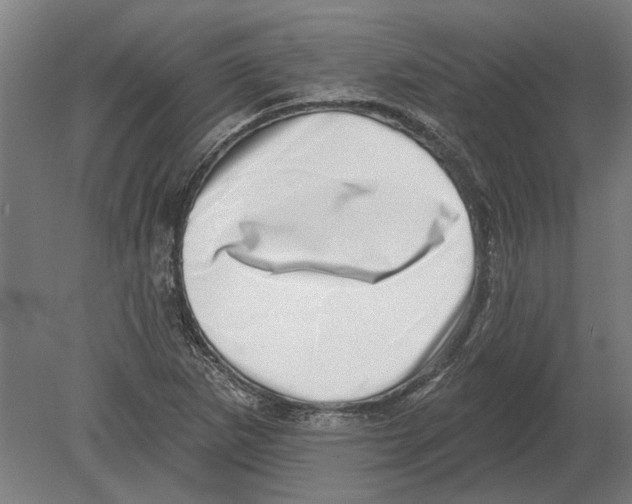 X0000080201265200701051739