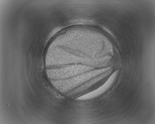 X0000080201267200701051739