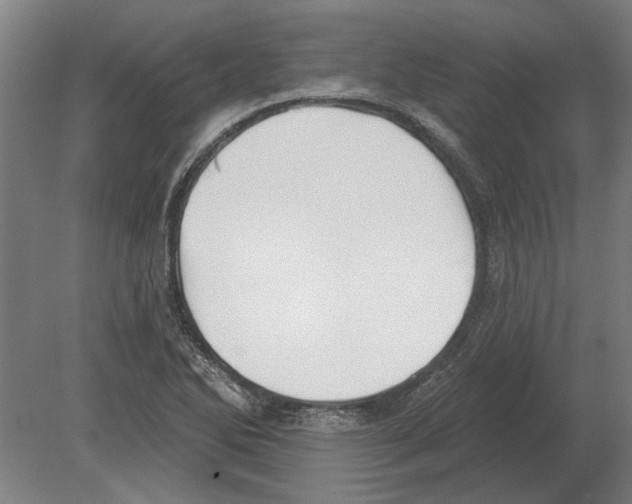 X0000080201270200701051739