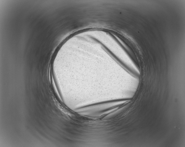 X0000080201272200701051739