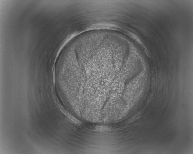 X0000080201275200701051739