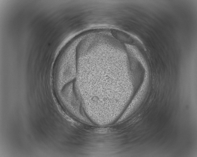 X0000080201279200701051739