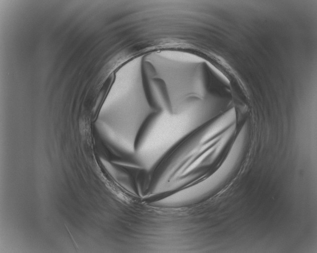 X0000080201281200701051739