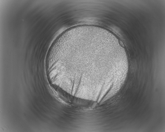 X0000080201283200701051739