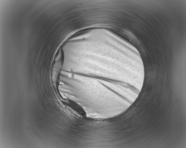 X0000080201284200701051739