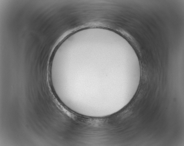 X0000080201286200701051739