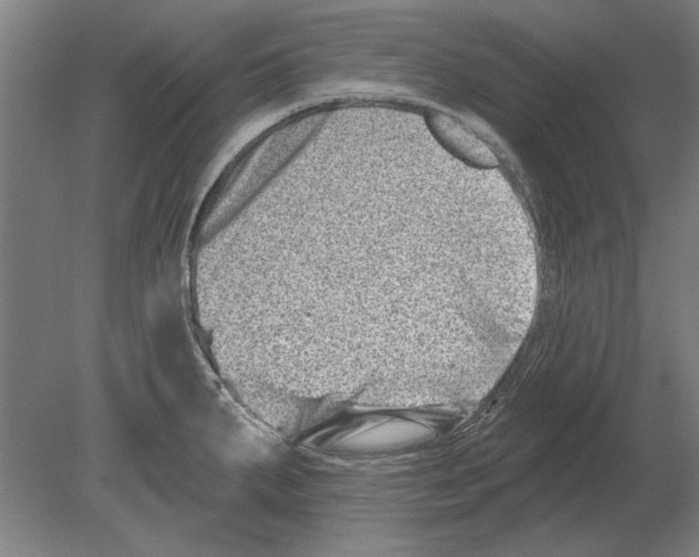 X0000080201287200701051739