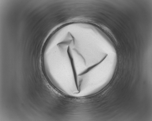 X0000080201288200701051739