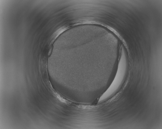 X0000080201289200701051739