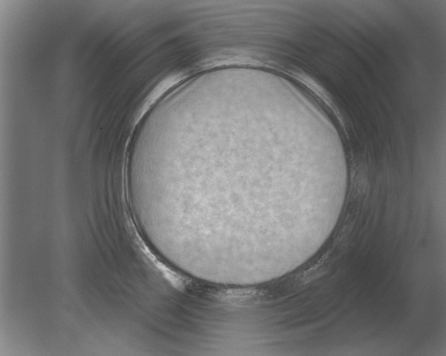 X0000080201290200701051739