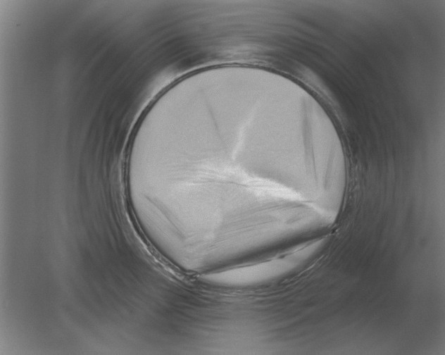 X0000080201291200701051739