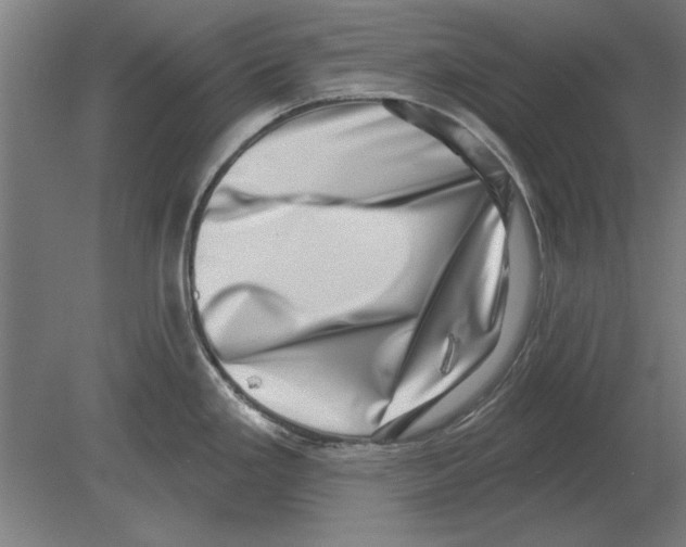 X0000080201293200701051739