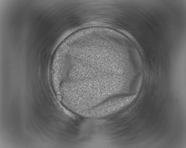 X0000080201294200701051739