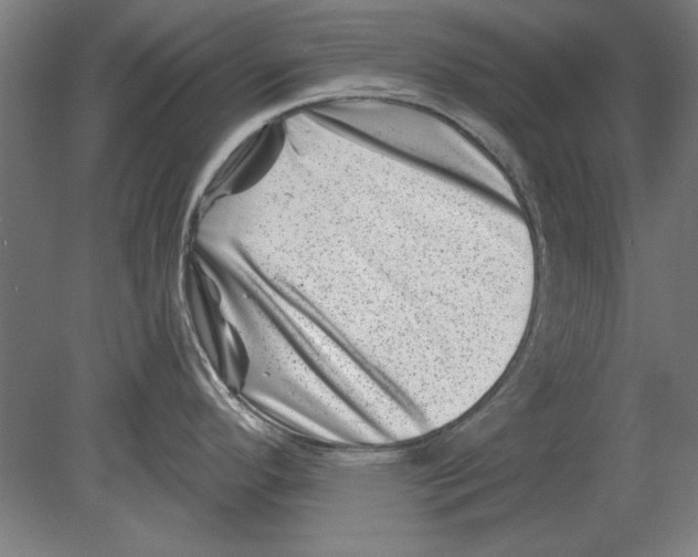 X0000080201296200701051739