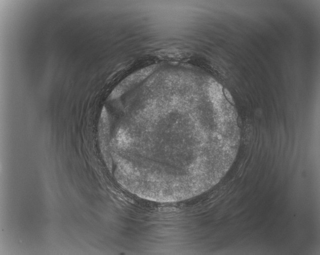 X0000080201297200701051738