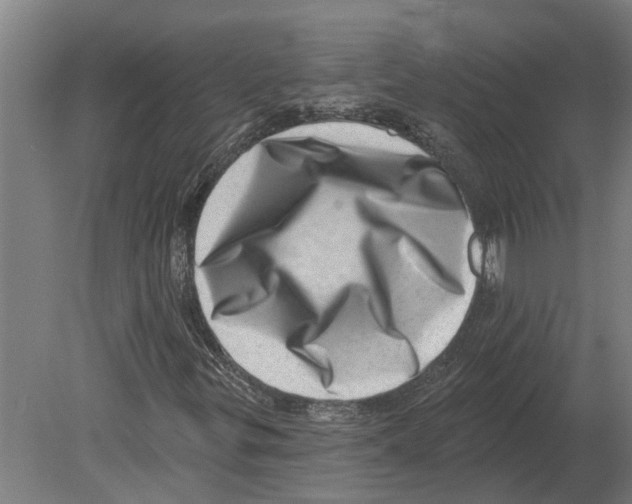 X0000080201299200701051738