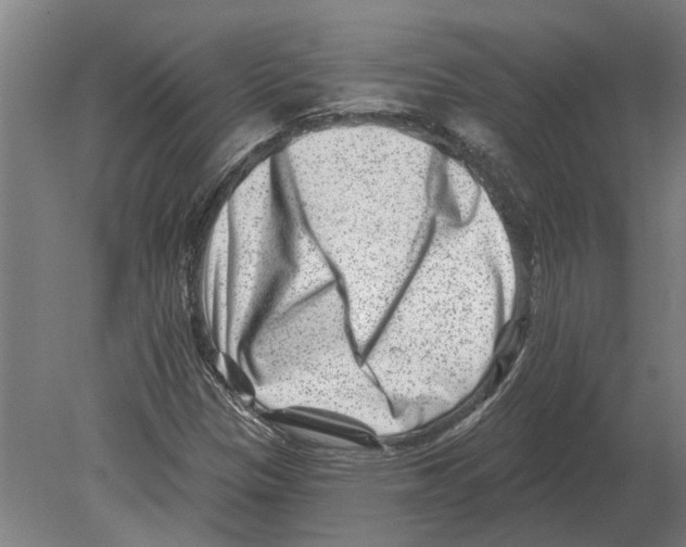 X0000080201305200701051738