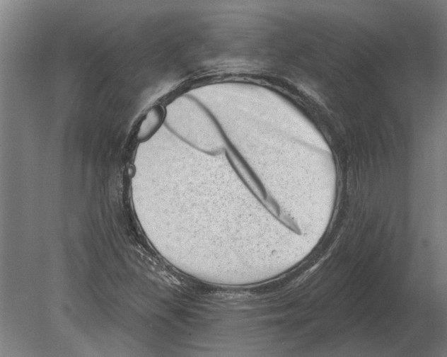 X0000080201309200701051738