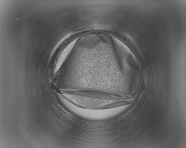 X0000080201310200701051738