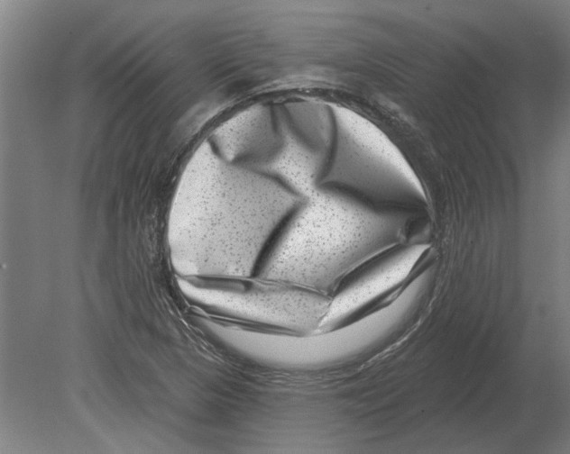 X0000080201313200701051738