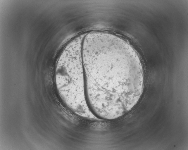 X0000080201314200701051738