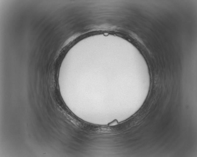 X0000080201315200701051738