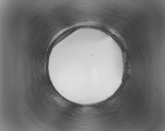 X0000080201316200701051738