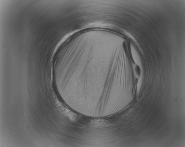 X0000080201323200701051739