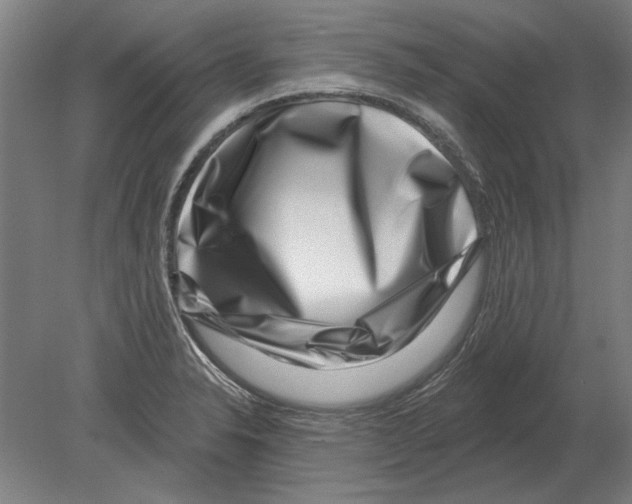 X0000080201326200701051739