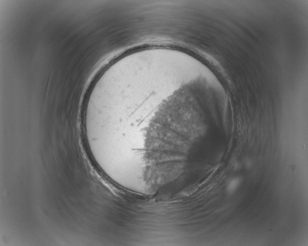 X0000080201327200701051739